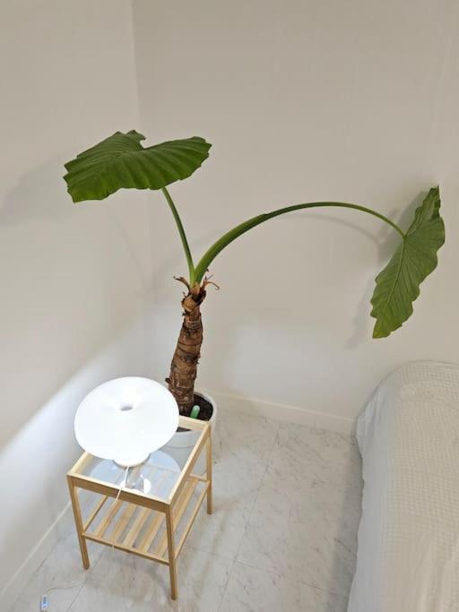 Apartment M1 Wood House Hongik Univ 6 Double Beds