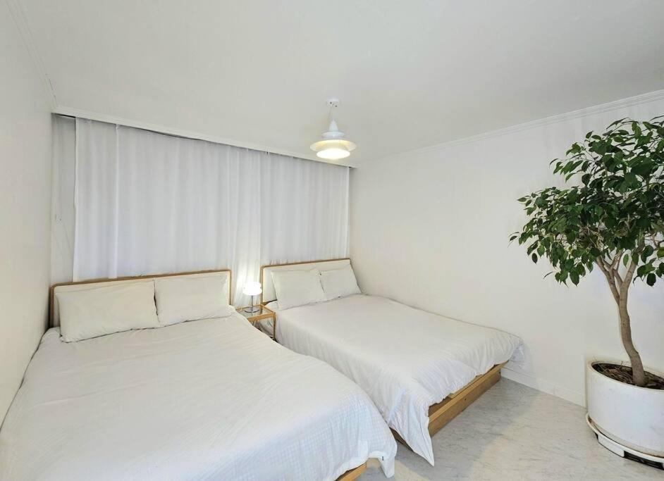 Apartment M1 Wood House Hongik Univ 6 Double Beds *