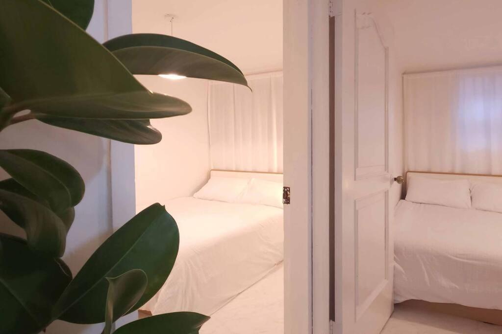 M1 Wood House Hongik Univ 6 Double Beds *
