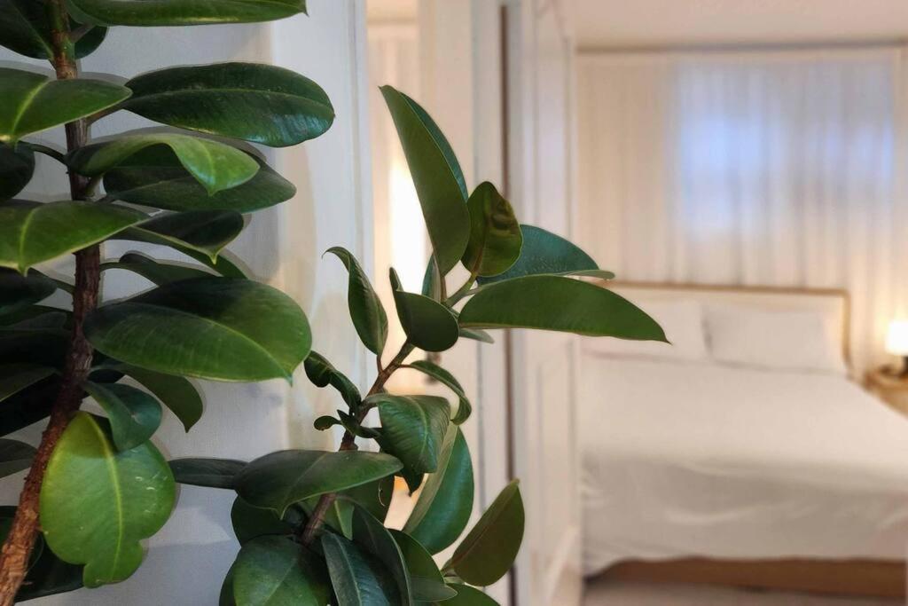 Apartment M1 Wood House Hongik Univ 6 Double Beds *