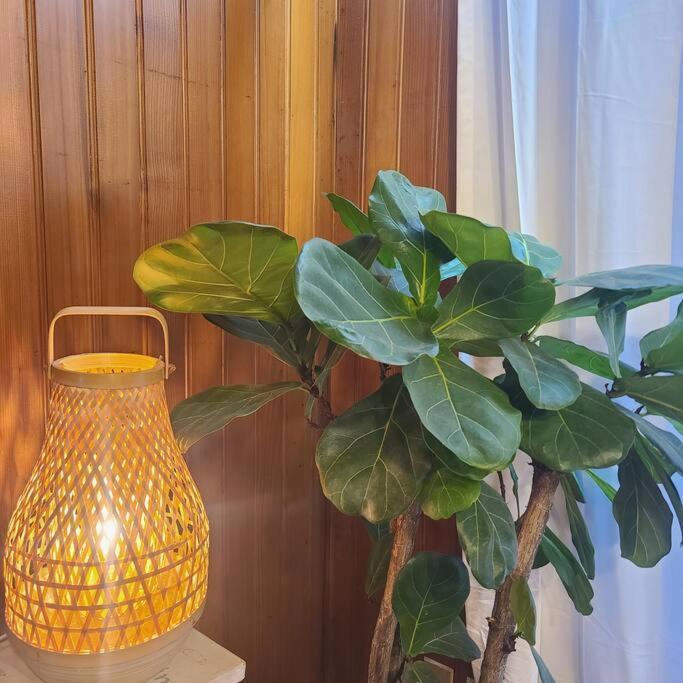 M1 Wood House Hongik Univ 6 Double Beds Apartment Seoul